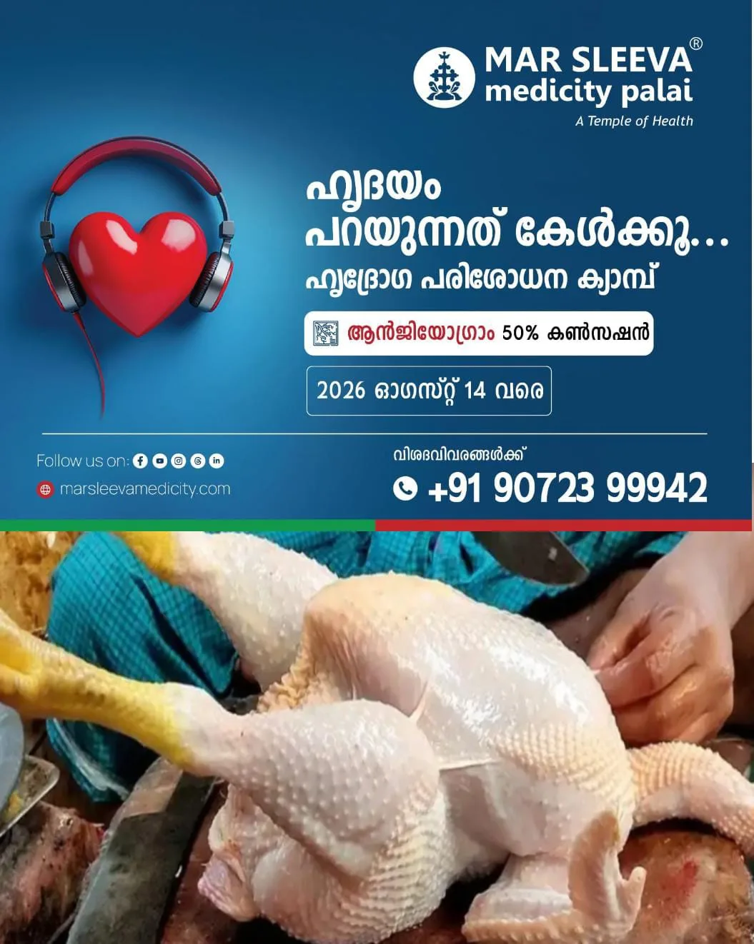 തമിഴ്നാട്ടിലെ കോഴിവ്യാപാരികള്‍ നാളെമുതല്‍ സമരത്തില്‍: കേരളം ചിക്കൻ കിട്ടാതെ വലയും