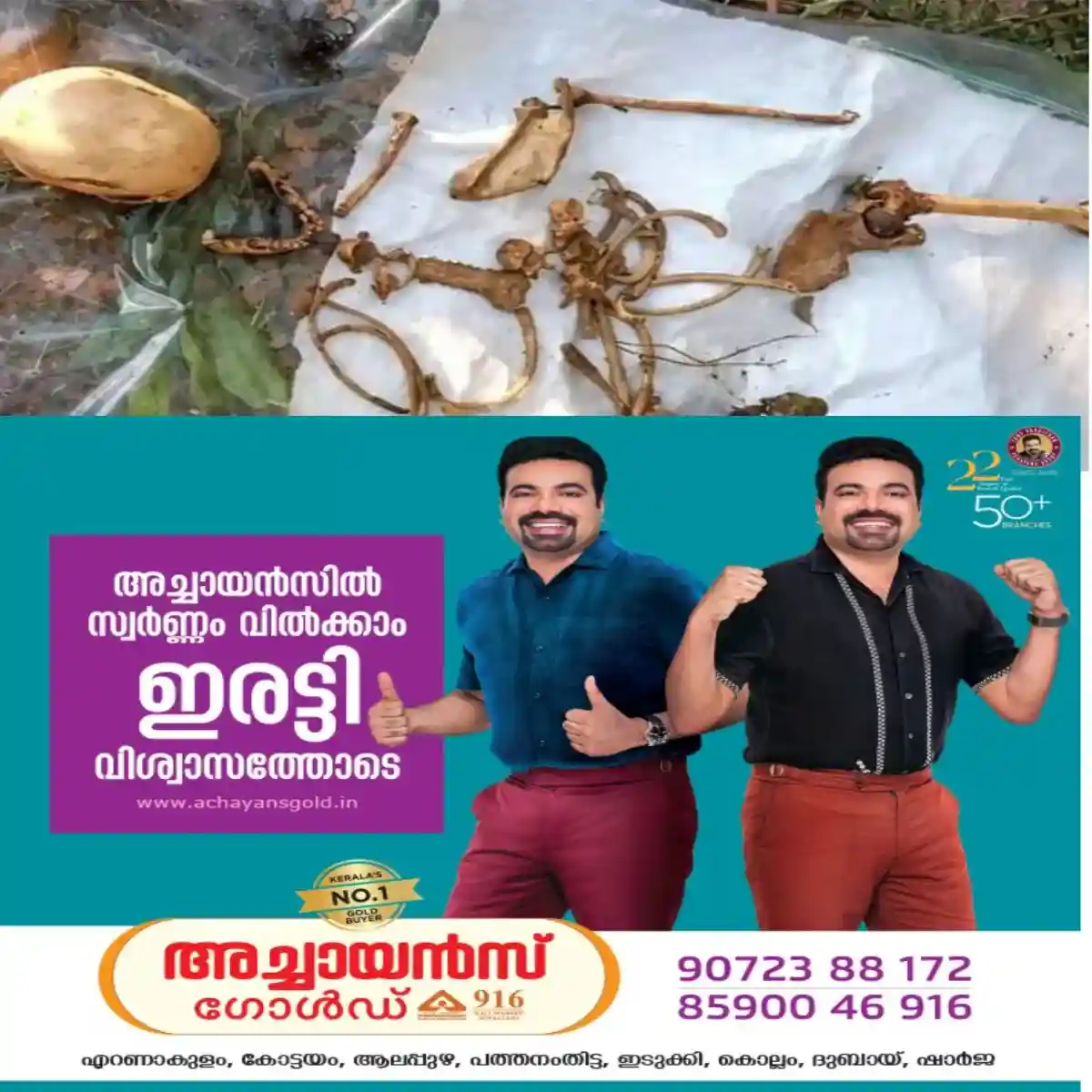 റബ്ബർ തോട്ടത്തിൽ മനുഷ്യന്റെ അസ്ഥികൂടം ചിതറി കിടക്കുന്ന നിലയിൽ കണ്ടെത്തി:  കാട് തെളിക്കാന്‍ എത്തിയ തൊഴിലാളികളാണ്  അസ്ഥികൂടം കണ്ടെത്തിയത്.
