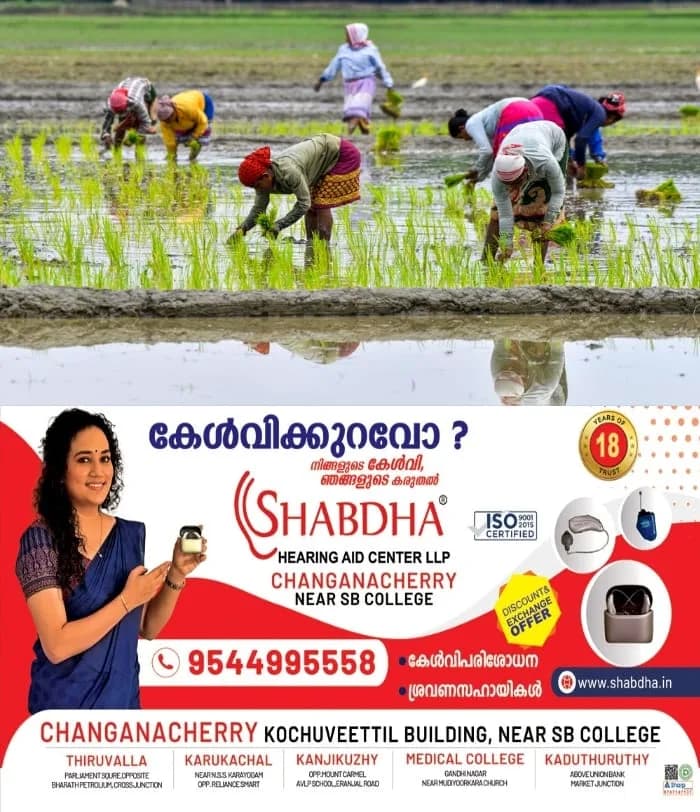 നെല്‍ കര്‍ഷകര്‍ക്ക് ആശ്വാസം; വിള ഇൻഷ്വറൻസ് തീയതി ജൂലൈ 31 വരെ നീട്ടി