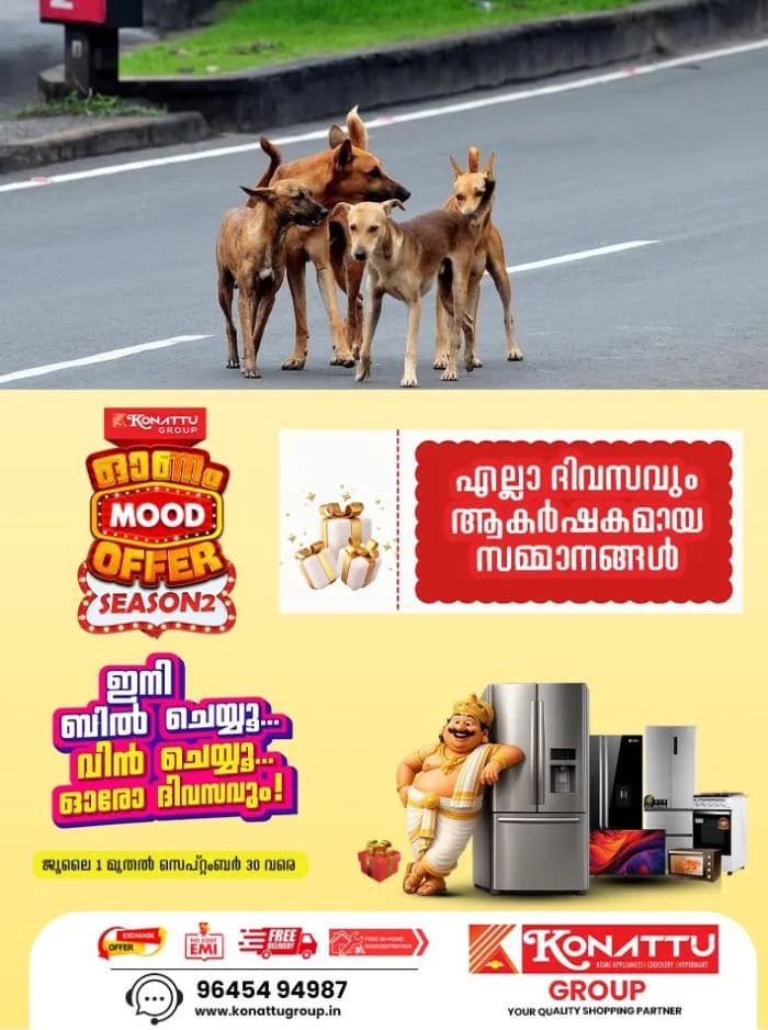തലങ്ങും വിലങ്ങും പായുന്ന തെരുവുനായ്ക്കൾ; ഭീതിയൊഴിയാതെ കോട്ടയം മെഡിക്കല്‍ കോളേജ് പരിസരം 