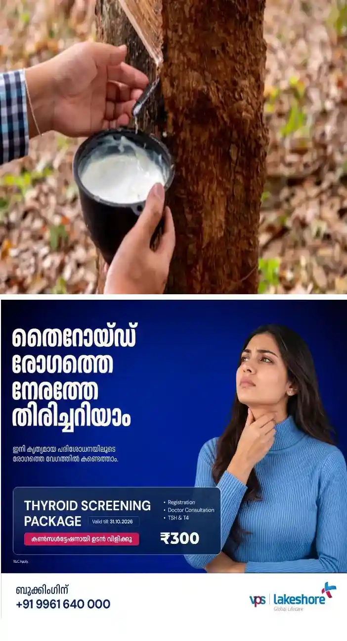 കോട്ടയത്ത്‌ ലാറ്റക്സ് വില മുന്നൂറിലെത്തി;ഷീറ്റ് വിലയു൦ വർധിക്കാൻ സാധ്യത