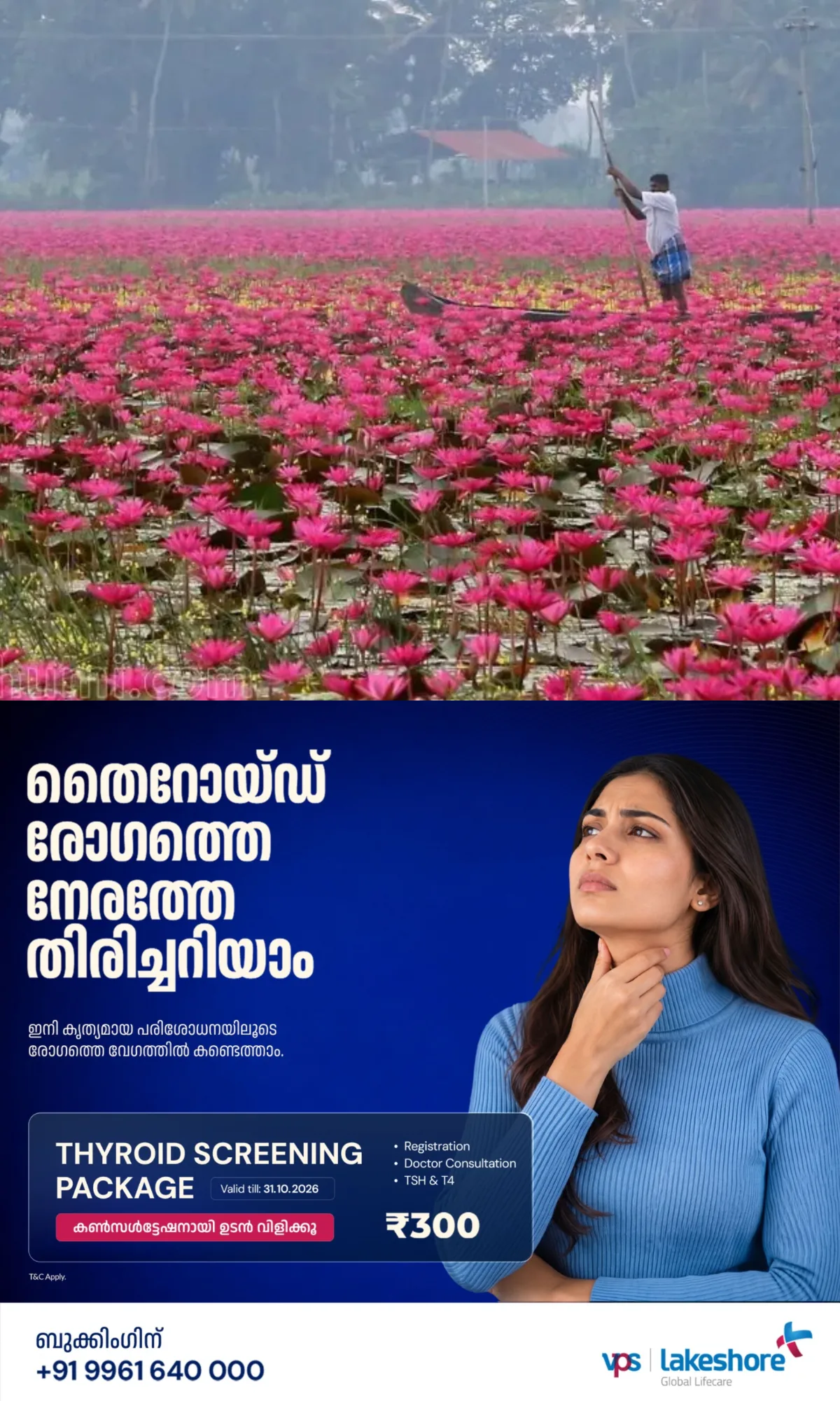 മലരിക്കൽ ആമ്പൽവസന്തം; ടൂറിസം സീസൺ അവസാനിച്ചു