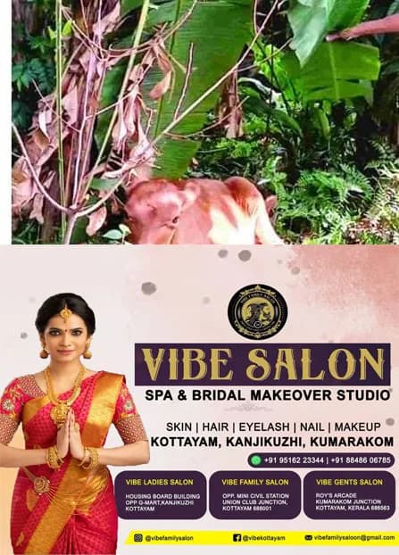 ഉ​ദ​യ​നാ​പുരത്ത് പേ​വി​ഷ​ബാ​ധ​യേ​റ്റ നാ​യ​യു​ടെ ക​ടി​യേ​റ്റ് ര​ണ്ട് പ​ശു​ക്ക​ൾ ച​ത്തു;നിരവധി വളർത്തു മൃഗങ്ങൾക്ക് കടിയേറ്റു; തെ​രു​വു​നാ​യ​ ഇപ്പോഴും കാണാമറയത്ത്;ജനം ആ​ശ​ങ്ക​യി​ൽ 