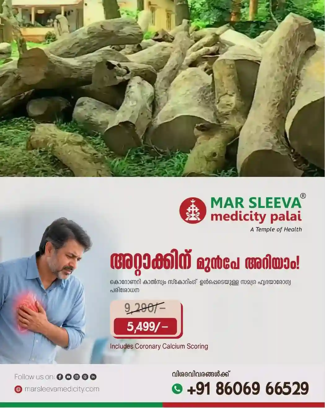 മുട്ടില്‍ മരംമുറിക്കേസ്: കുറ്റപത്രം സുല്‍ത്താൻ ബത്തേരി മജിസ്ട്രേറ്റ് കോടതി ഇന്ന് പരിഗണിക്കും