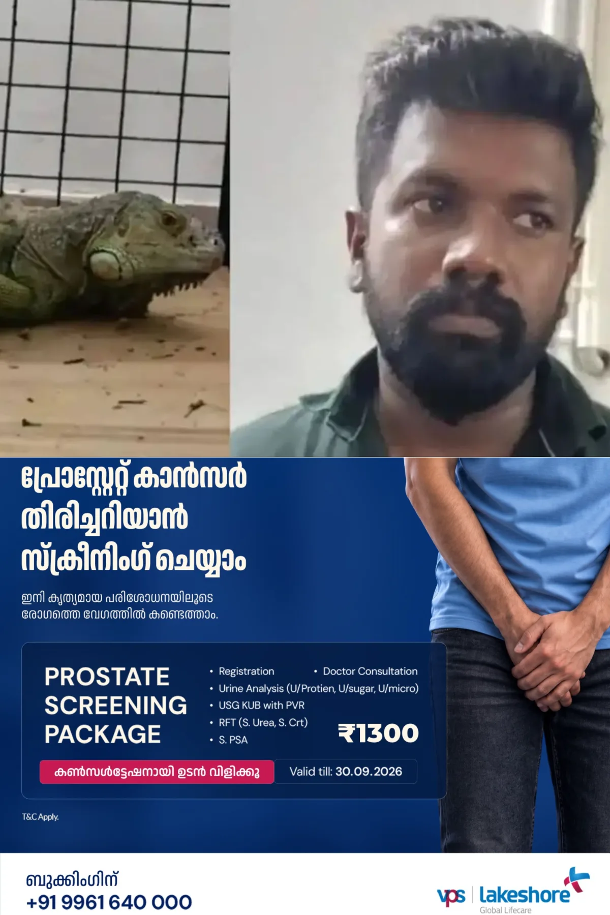 വ്യാജ സര്‍ട്ടിഫിക്കറ്റ് നല്‍കി ഗ്രീൻ ഇഗ്വാനയെ വില്‍ക്കാൻ ശ്രമം; പെറ്റ് ഷോപ്പ് ഉടമ വനംവകുപ്പിന്റെ പിടിയില്‍