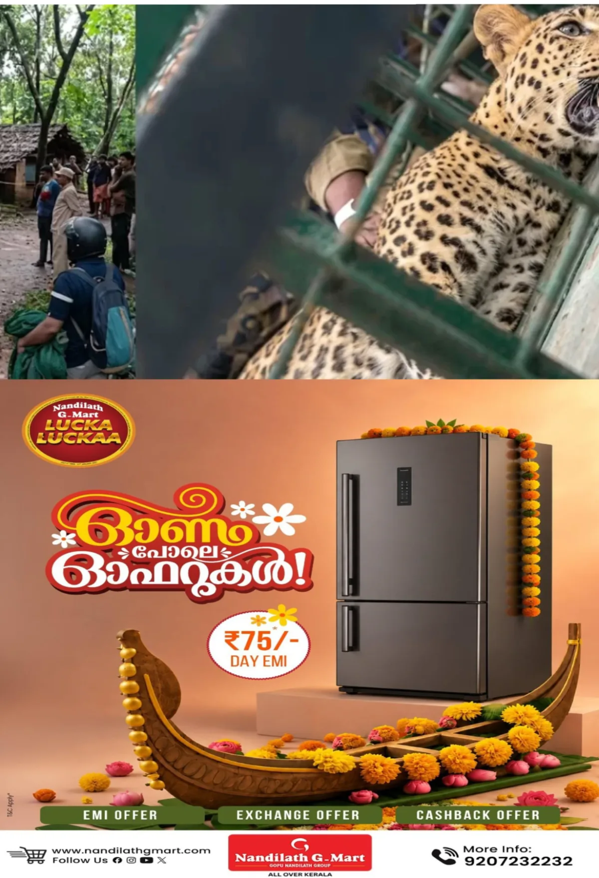 കെണി വെച്ചതാര് ?, പന്നിക്കെണിയില്‍ കുടുങ്ങിയ പുലി ചത്ത സംഭവം; വനം വകുപ്പ് അന്വേഷണം തുടങ്ങി