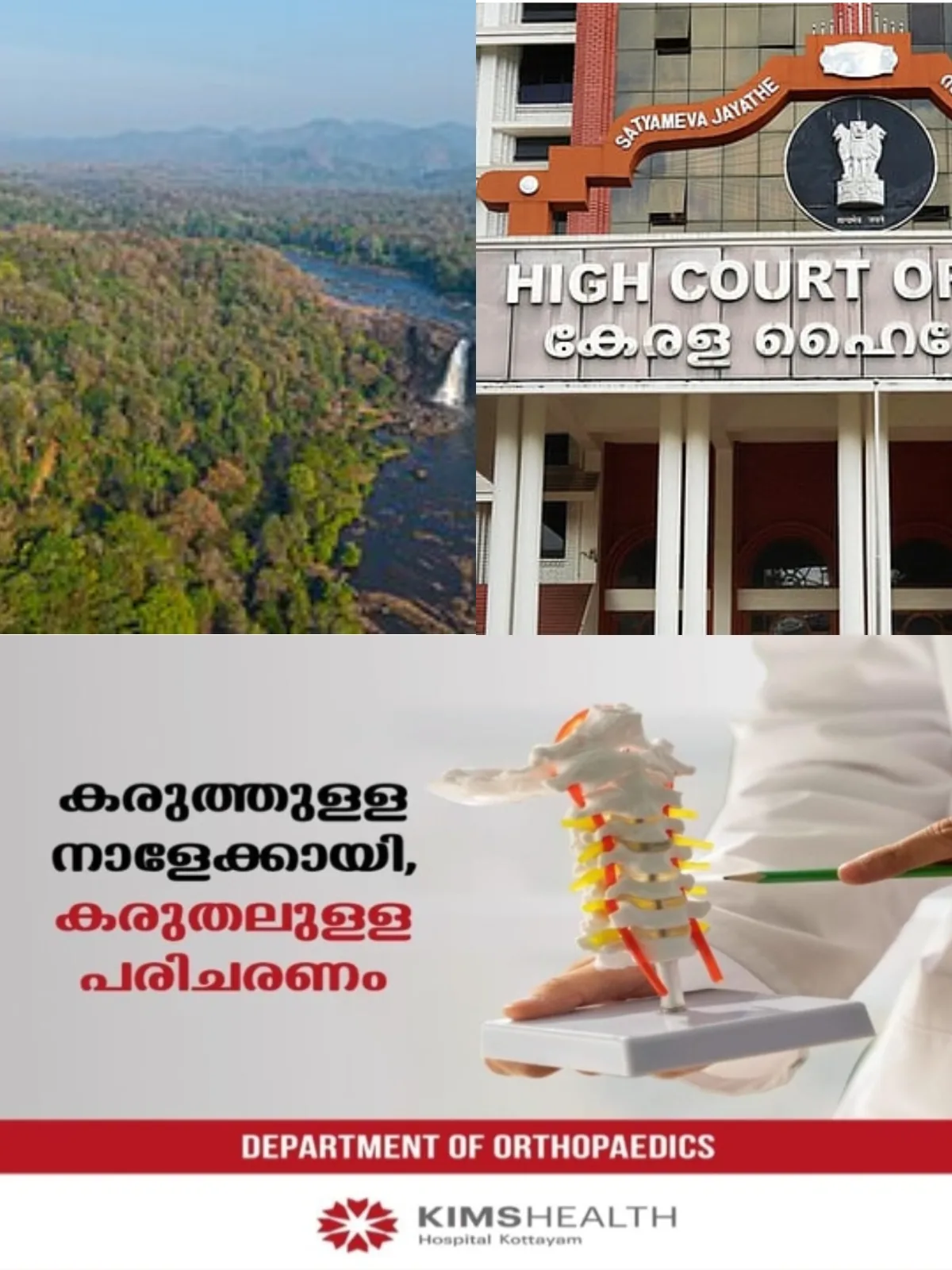 'പാട്ടക്കാലാവധി അവസാനിച്ചു'; അതിരപ്പള്ളി വനമേഖലയില്‍ സ്വകാര്യ വ്യക്തികള്‍ക്ക് പ്രവേശിക്കാനോ, കൃഷി നടത്താനാകില്ലെന്ന് ഹൈക്കോടതി