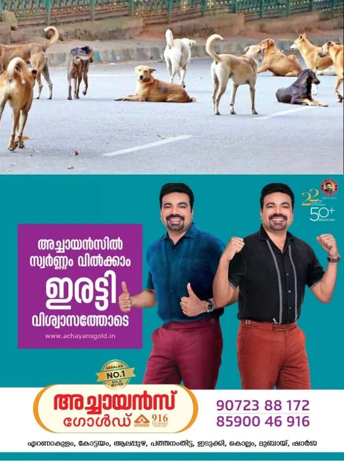 'അക്രമകാരികളായ നായ്ക്കളെ കൊല്ലാം'; തെരുവ് നായ്ക്കളെ ദയാവധം ചെയ്യുന്നതിനുള്ള മാർ​ഗനിർദേശം പുറത്തിറക്കി തദ്ദേശ വകുപ്പ്