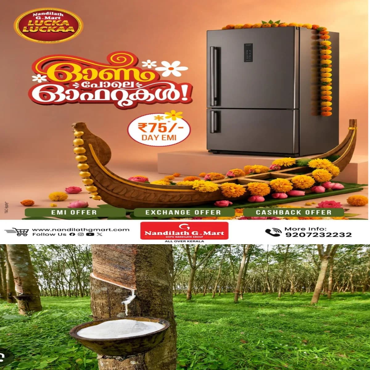 കാലാവസ്ഥ ചതിച്ചു: ഒരാഴ്ചയായി തുടരുന്ന ഒറ്റപ്പെട്ട മഴയിലും റബറിന് നേട്ടമില്ല: ഉത്പാദനം കുറയുന്നു