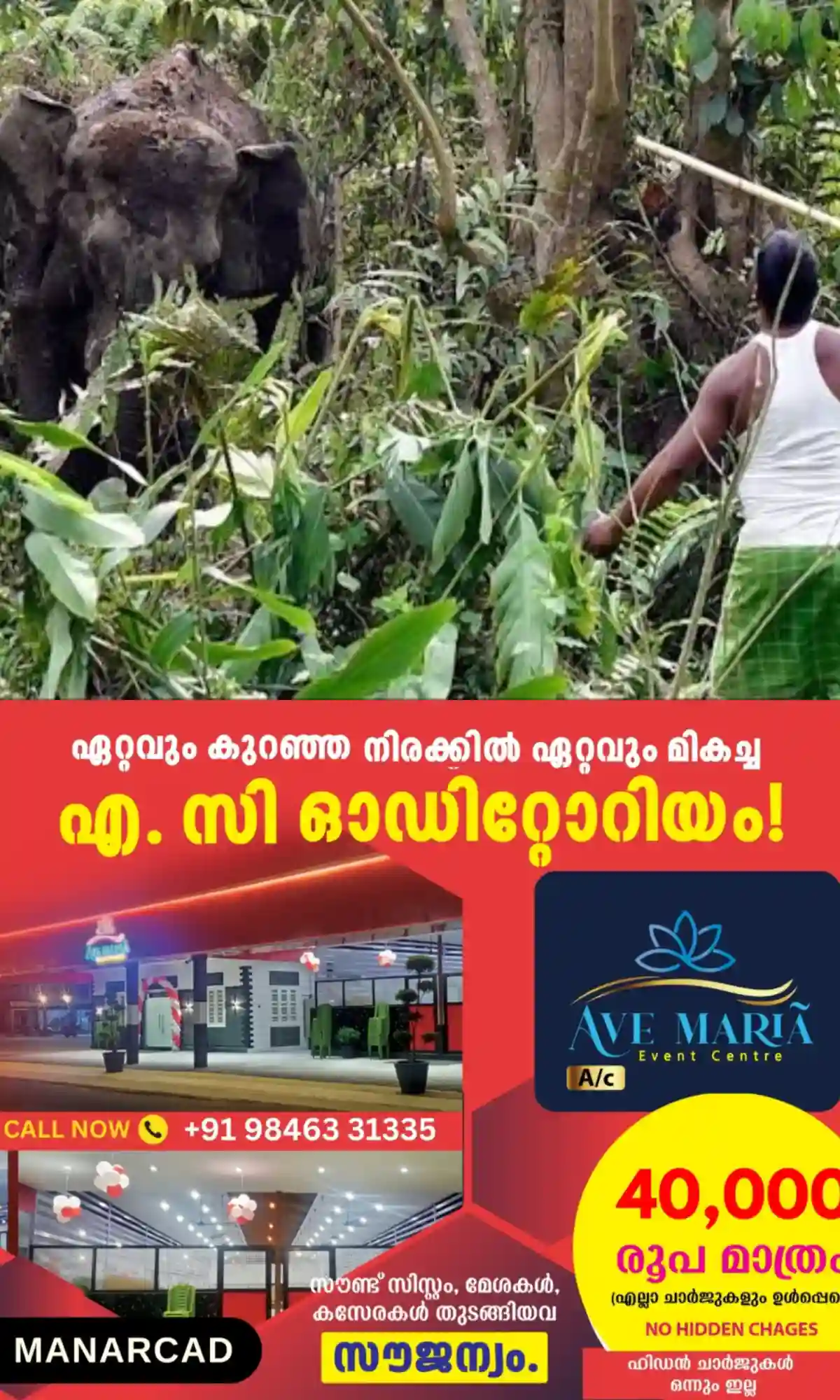 പാമ്പ് കടിച്ചോ കടന്നല്‍ കുത്തേറ്റോ ഉള്ള ജീവഹാനിക്ക് 5 ലക്ഷം; വന്യജീവി ആക്രമണത്തില്‍ കൊല്ലപ്പെടുന്നവരുടെ ആശ്രിതര്‍ക്കുള്ള നഷ്ടപരിഹാരം 17.5 ലക്ഷമാക്കി സര്‍ക്കാര്‍