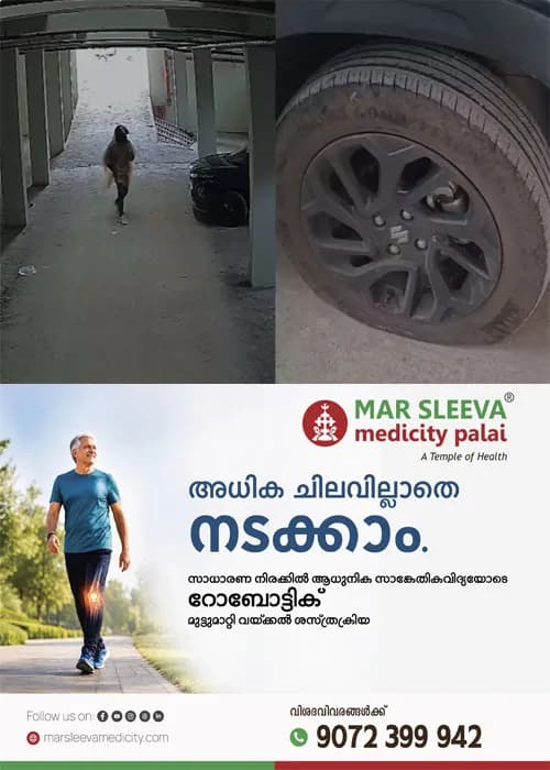 ഭാര്യ വിവാഹമോചനത്തിന് കേസ് നൽകി;പിന്നാലെ അമ്മായിയമ്മയുടെ കാറിന്റെ ടയറുകൾ കുത്തിക്കീറി; മരുമകനെതിരെ പൊലിസ് കേസെടുത്തു