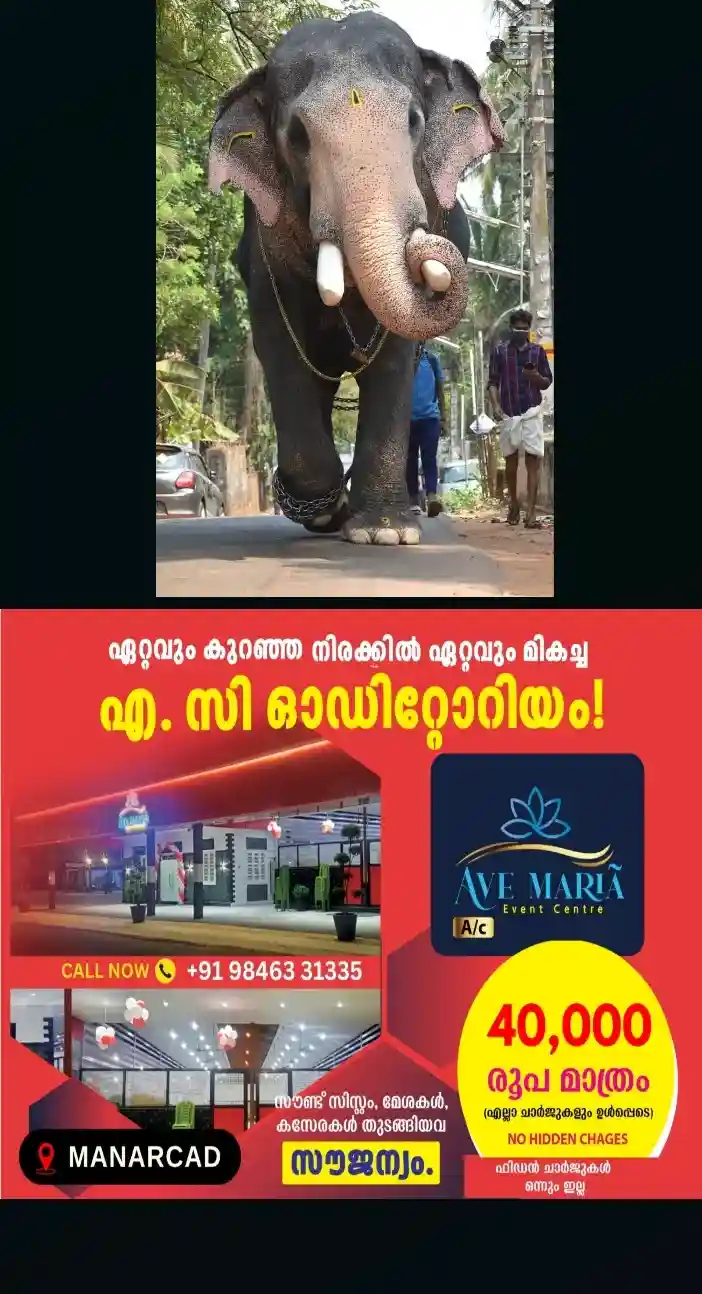 ഇടിമിന്നലേറ്റ് കൊമ്പന്‍ പല്ലാട്ട് ബ്രഹ്‌മദത്തന്‍ ചെരിഞ്ഞു