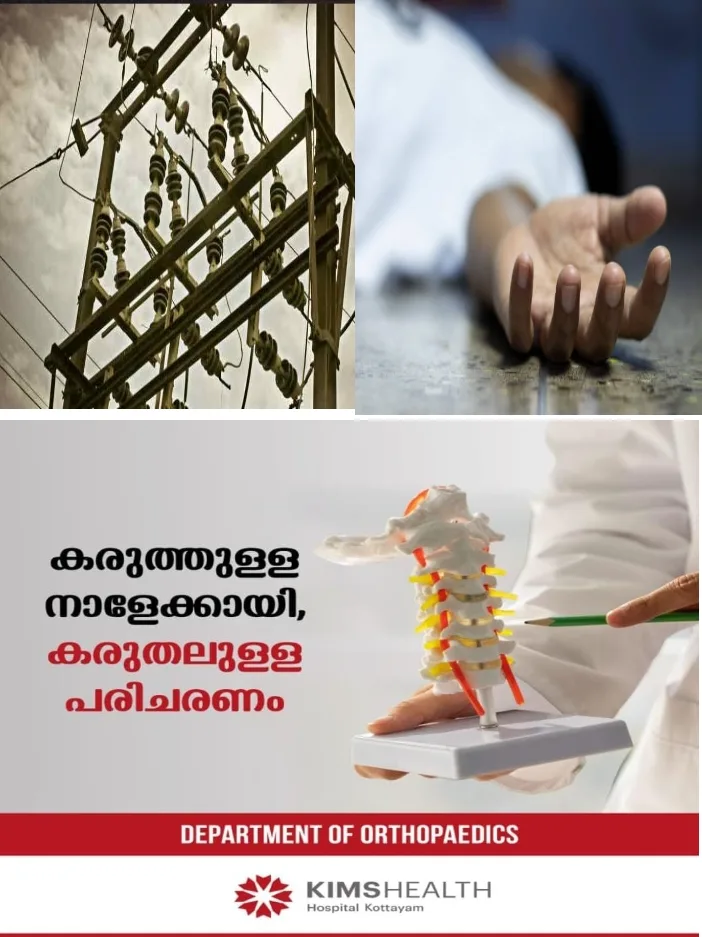 പാലക്കാട്‌ തെരുവ് വിളക്കിനായി വൈദ്യുതി ലൈൻ വലിക്കുന്നതിനിടെ ഷോക്കേറ്റു; KSEB കരാർ തൊഴിലാളി മരിച്ചു