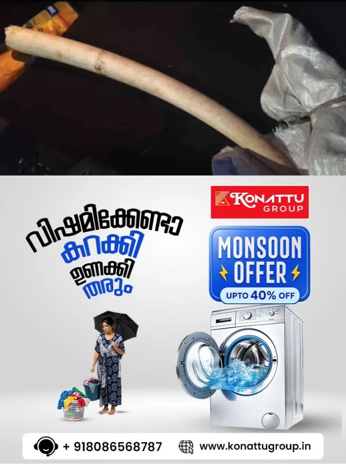 മലപ്പുറം പുത്തനത്താണിയില്‍ നടന്ന മിന്നല്‍ പരിശോധനയില്‍ മൂന്നര കിലോ ആനക്കൊമ്പ് പിടിച്ചെടുത്തു; കടത്താന്‍ ശ്രമിച്ച സംഘം വലയില്‍