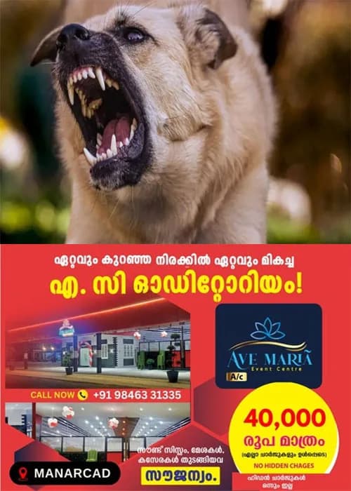 കീഴൂർ കടപ്പുറത്ത് പേപ്പട്ടിയുടെ ആക്രമണം;നാല് മത്സ്യത്തൊഴിലാളികൾക്കും മൂന്ന് കുട്ടികൾക്കും കടിയേറ്റു