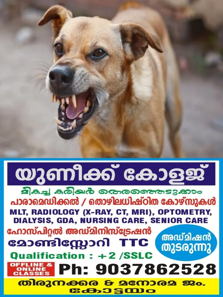 പേരൂർക്കട ജില്ലാ ആശുപത്രി വളപ്പിനുള്ളില്‍ നാലുവയസുകാരന് തെരുവുനായയുടെ കടിയേറ്റു; പ്രതിഷേധവുമായി കുടുംബം
