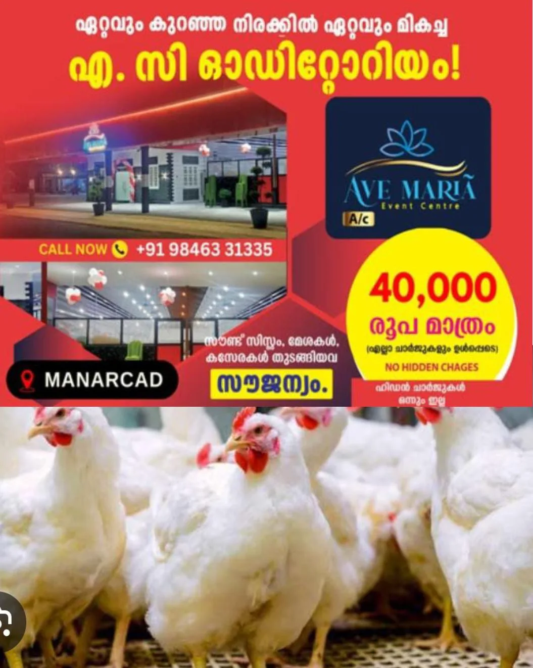 സംസ്ഥാനത്ത് കോഴിയിറച്ചി വില കുത്തനെ ഉയരുന്നു:വിപണിയില്‍ കോഴിയിറച്ചി  കിലോയ്ക്ക് 240 മുതല്‍ 250 രൂപ വരെയായി വര്‍ദ്ധിച്ചു: കോഴിത്തീറ്റയുടെ അനിയന്ത്രിതമായ വില വർധനയാണ് കാരണമെന്ന് പറയുന്നു.