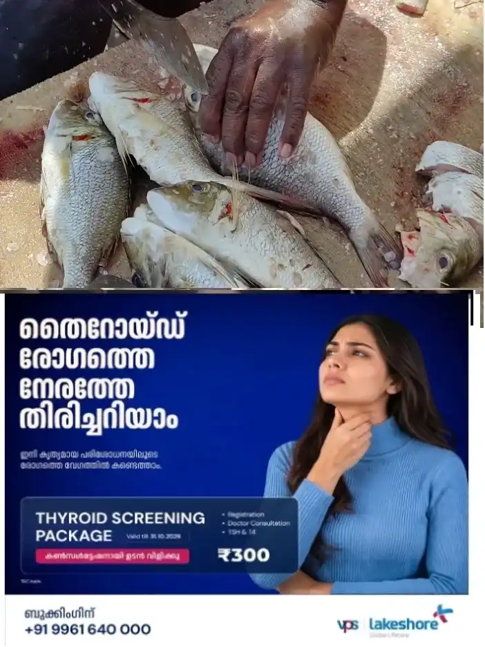   മീൻ കഴുകിയ വെള്ളം കളയരുതേ; ഇങ്ങനെ ഉപയോഗിച്ചു നോക്കു; ചെടിക്ക് ഇത്ബെസ്റ്റ് ആണ് 