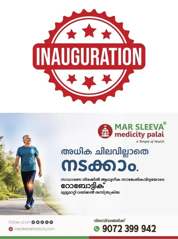 കൊതവറ പാലം നിർമ്മാണ ഉദ്ഘാടനം ബുധനാഴ്ച നടക്കും; ഉദ്‌ഘാടനം നിർവഹിക്കുന്നത് മന്ത്രി പികെ ബഷീർ