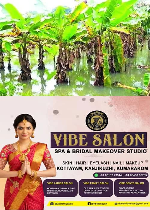 കർഷകർ കണ്ണീരിൽ;തോരാപെയ്ത്തിൽ കൈ​പ്പു​ഴ​യി​ൽ കൃ​ഷി​ വെള്ളത്തിൽ; പച്ചക്കറിയും വാഴകൃഷിയും നശിച്ചു 