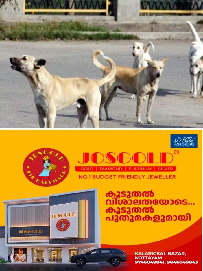 കോട്ടയത്ത് തെരുവ് നായ ശല്യം രൂക്ഷം;വഴി നടക്കാനാവാതെ ജനം; ഒരു മാസം ശരാശരി 350 പേർക്ക് തെരുവുനായയുടെ കടിയേൽക്കുന്നു; കോടിമതയിലെ എ.ബി.സി സെന്റർ സ്ഥിതി ചെയ്യുന്നത് നായ്ക്കൾക്ക് നടുവിൽ