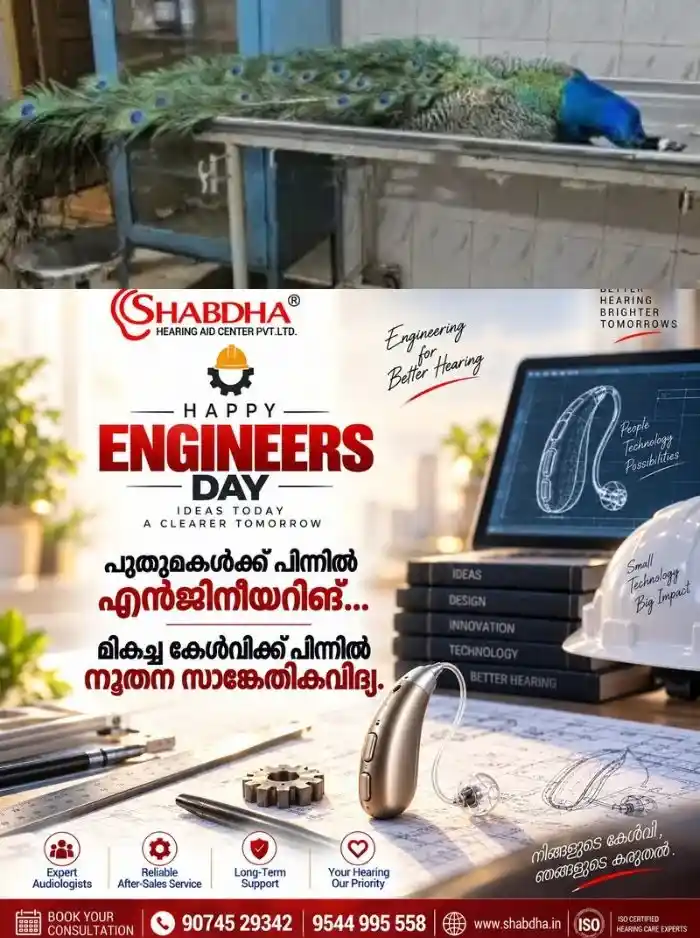 പറന്നുയരുന്നതിനിടയില് കെട്ടിടത്തിന്റെ മുകള്ഭാഗത്തെ ചില്ലിലിടിച്ച് മയിൽ ചത്തു; സംഭവം പാലാ അരുണാപുരത്ത്