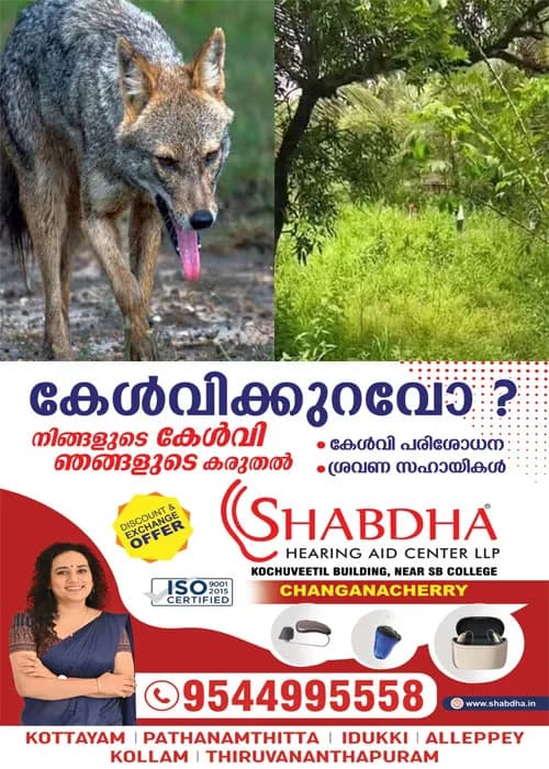 കാസർകോട് കുറുനരിയുടെ ആക്രമണം; ഗൃഹനാഥന് കുറുനരിയുടെ കടിയേറ്റു;കുറുനരിയെ തെരഞ്ഞ് പിടിച്ച് കൊന്ന് നാട്ടുകാർ