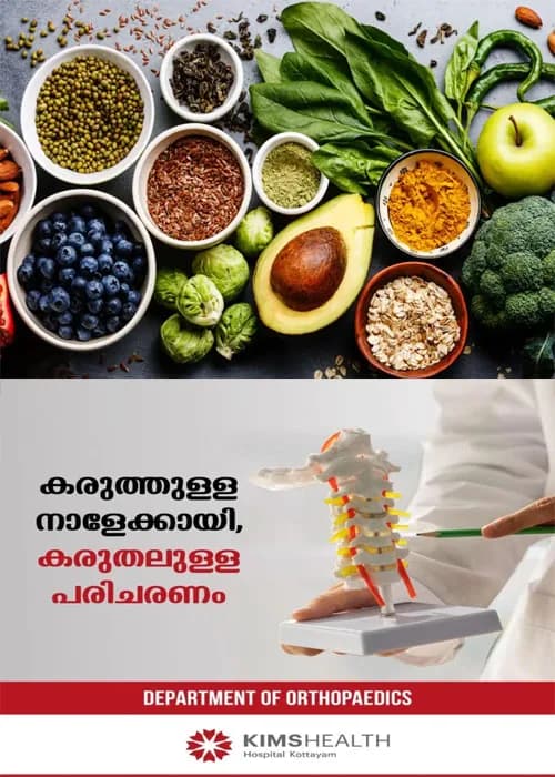 മഴക്കാലത്ത് ഇടയ്ക്കിടെ അസുഖം വരാറുണ്ടോ?രോഗങ്ങളെ അകറ്റാനും പ്രതിരോധശേഷി കൂട്ടാനും ഈ പഴങ്ങൾ ഡയറ്റിൽ നിർബന്ധമായും ഉൾപ്പെടുത്തൂ