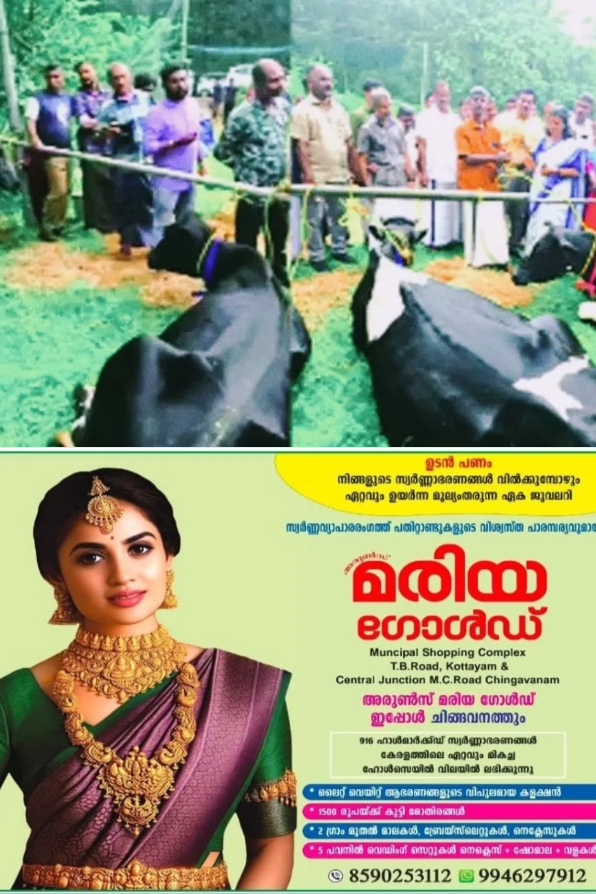 പാലാ തീക്കോയിയില് ഉണ്ടായ വെള്ളപ്പൊക്കത്തില് പശുക്കളെ നഷ്ടപ്പെട്ട സംഭവം; ക്ഷീരകര്ഷകന് അനില്കുമാറിന് മന്ത്രി ബിന്ദു കൃഷ്ണ നാലു പശുക്കളെ കൈമാറി