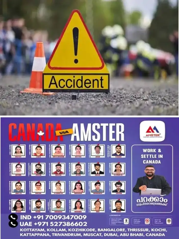 കുളമാവിൽ ബസ് സ്റ്റാൻഡിൽ നിർത്തിയിട്ടിരുന്ന കാറിന് മുകളിലേക്ക് മരം കടപുഴകി വീണു; ഗതാഗതം സ്തംഭിച്ചു; ആളപായമില്ല