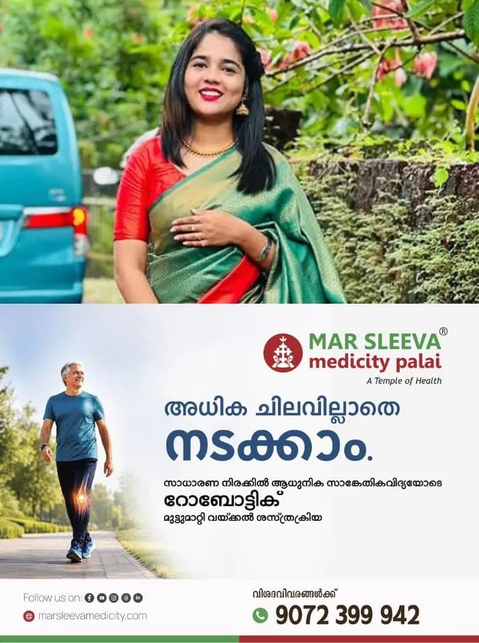 സോഷ്യൽ മീഡിയയിലൂടെ ട്രാൻസ്ജെൻഡറെ അധിക്ഷേപിച്ചു; യൂട്യൂബർ ഹെലൻ ഓഫ് സ്പാർട്ടയെ അറസ്റ്റ് ചെയ്ത് ജാമ്യത്തിൽ വിട്ടു