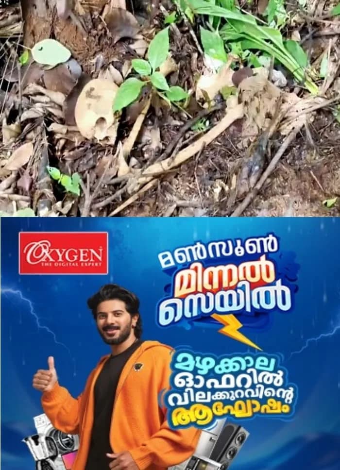 കോഴിക്കോട് പേരാമ്പ്രയില് മനുഷ്യ അസ്ഥികൂടം കണ്ടെത്തി; ഏകദേശം ഒരു മാസത്തെ പഴക്കം തോന്നിക്കുന്ന നിലയിലാണ്