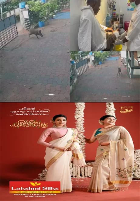 വീട്ടിലും രക്ഷയില്ല;വീട്ടുവരാന്തയിൽ പത്രം വായിച്ചിരിക്കെ കാട്ടുപന്നി ആക്രമണം; താമരശ്ശേരിയിൽ മധ്യവയസകന് പരിക്ക്