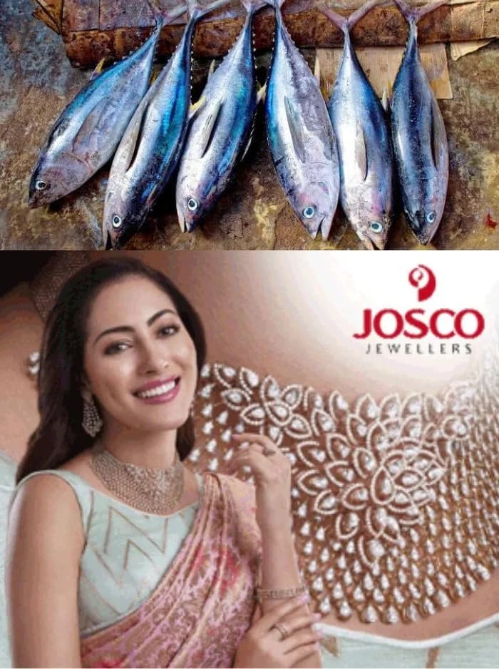 കേരളത്തിൽ എവിടെയും ചൂരയിൽ വിരയെ കണ്ടെത്തിയിട്ടില്ല; സമൂഹമാധ്യമങ്ങളിലെ പ്രചാരണം തള്ളി സിഎംഎഫ്ആർഐ