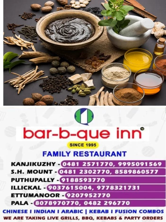 ഗവ. ആയുർവേദ ആശുപത്രിയുടെ നേതൃത്വത്തിൽ സൗജന്യ മൾട്ടി സ്പെഷ്യാലിറ്റി ആയുർവേദ മെഡിക്കൽ ക്യാമ്പ് സംഘടിപ്പിച്ചു;പാലാ നഗരസഭ ചെയർപേഴ്സൺ മായാ രാഹുൽ ഉദ്ഘാടനം ചെയ്തു