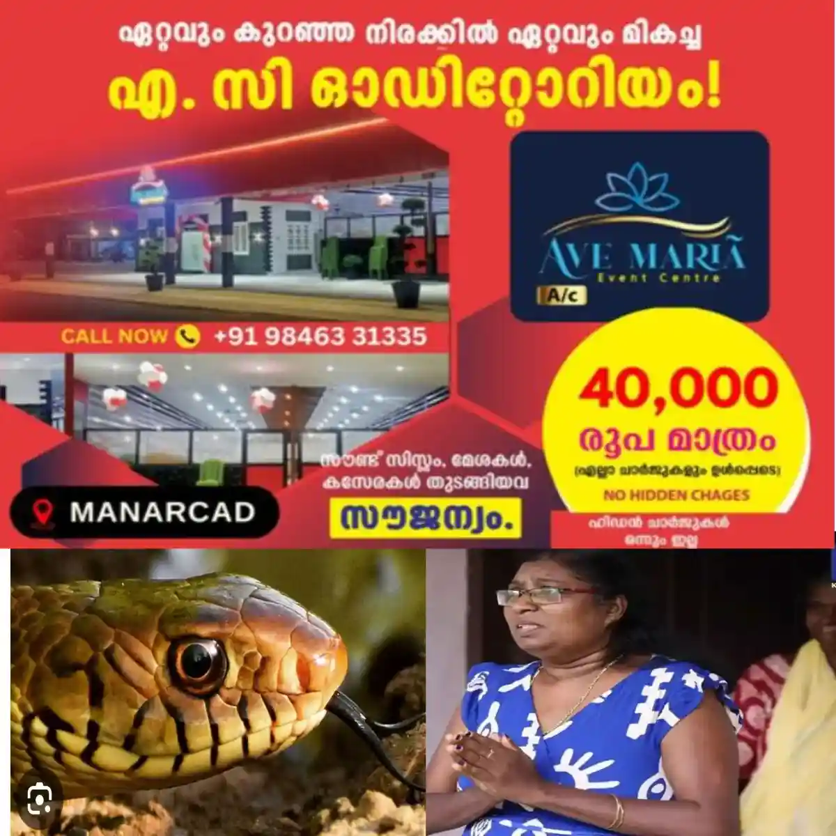 വിറക്പുരയിൽ മൂർഖൻ പത്തിവിടർത്തി: പേടിച്ചു വിറച്ച് വീട്ടമ്മ : വാവ സുരേഷ് എത്തി പിടികൂടി.