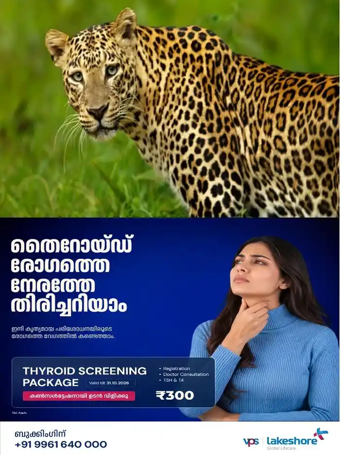 ഷോളയാർ ഡാമിന് സമീപം വീടിന്റെ വരാന്തയിൽ അവശനിലയിൽ പുള്ളിപ്പുലിയെ കണ്ടെത്തി; ഫോറസ്റ്റ് അധികൃതർ സ്ഥലത്തെത്തി