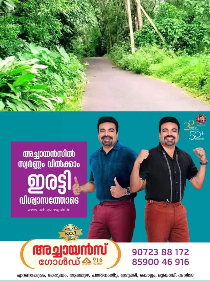 കാടുമൂടി വെള്ളൂര്-കൂരോപ്പട റോഡ്; യാത്രക്കാർ ഇതുവഴി സഞ്ചരിക്കുന്നത് നെഞ്ചിടിപ്പോടെ, ഇഴജന്തുക്കൾ ഉൾപ്പടെയുള്ള ജീവികൾ ഭീഷണിയാകുന്നു