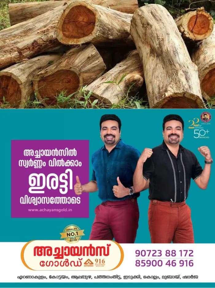 ആവശ്യമായ രേഖകൾ സമർപ്പിച്ചില്ല; മുട്ടിൽ മരംമുറി കേസിൽ വനംവകുപ്പിന്റെ കുറ്റപത്രം മടക്കി ബത്തേരി കോടതി