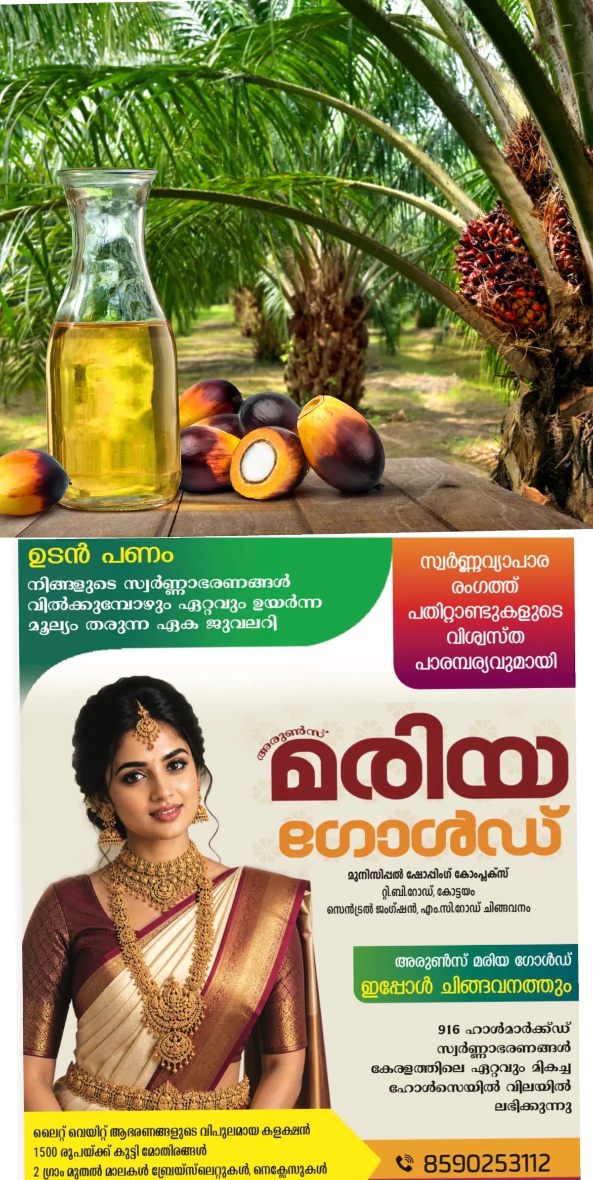 പാമോയില് ഉപയോഗിച്ചാല് കൊളസ്ട്രോള് കൂടുമോ? വിദഗ്ധര് പറയുന്നത് നോക്കാം