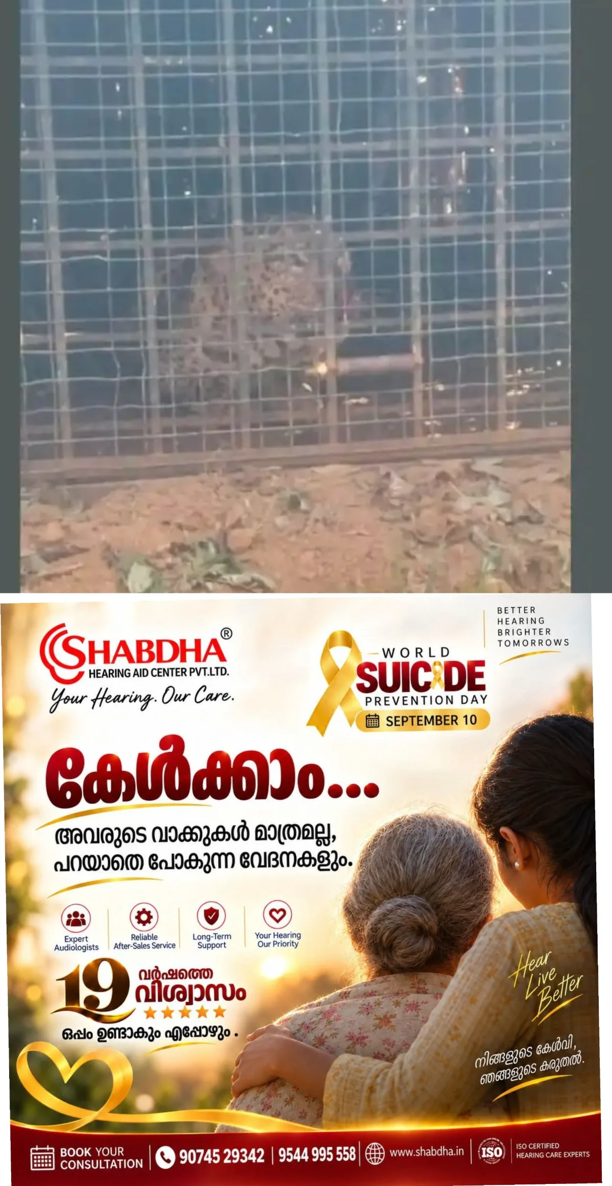 ഓവേലിയില് കടുവയെ പിടിക്കാന് സ്ഥാപിച്ച കൂട്ടില് കുടുങ്ങിയത് പുലി; മുതുമലയിലെ ഉള്ക്കാട്ടില് തുറന്നുവിട്ടു