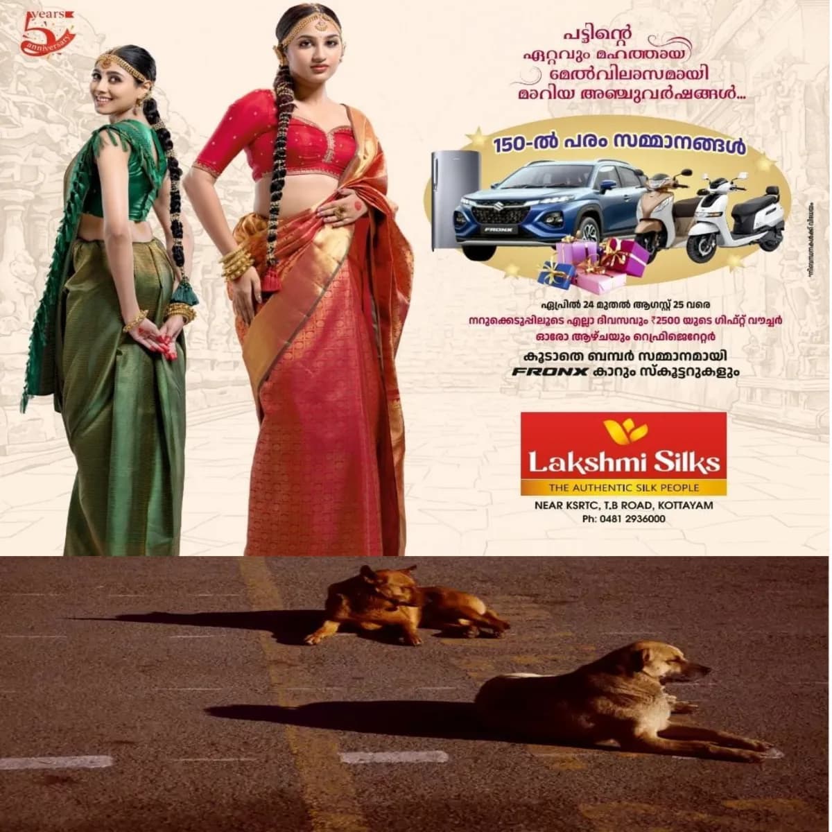 മാനസിക വെല്ലുവിളി നേരിടുന്ന സ്ത്രീയെ ഉപദ്രവിക്കാൻ ശ്രമിച്ചയാളെ തുരത്തി സമൂഹ മാധ്യമങ്ങളിൽ വൈറലായി രണ്ട് തെരുവ് നായ്ക്കൾ: മനുഷ്യനേക്കാൾ വലിയ കരുതൽ മുഗങ്ങൾക്ക് എന്നു തെളിയിക്കുന്ന സംഭവം ഇങ്ങനെ