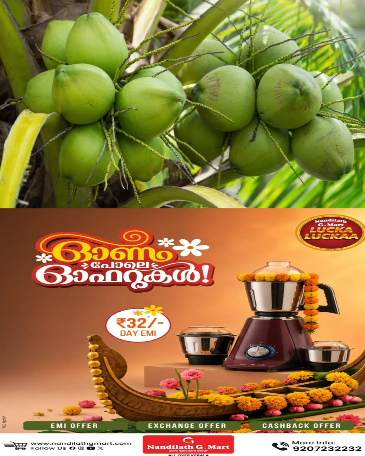 ലോക നാളികേര ദിനം: കൃഷിവകുപ്പിന്റെ ആഭിമുഖ്യത്തിൽ ജില്ലാതല പരിപാടികൾ സംഘടിപ്പിച്ചു