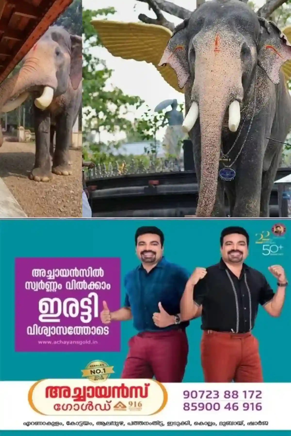 ഇടിമിന്നലേറ്റ് അകാലത്തില് വിടപറഞ്ഞ ഗജരത്നം പല്ലാട്ട് ബ്രഹ്മദത്തന് അനുസ്മരണം നാളെ രാവിലെ 9.30 ന് പാലാ മില്ക്ക് ബാര് ഓഡിറ്റോറിയത്തില് നടക്കും; മാണി സി. കാപ്പന് എം.എല്.എ സമ്മേളനം ഉദ്ഘാടനം ചെയ്യും