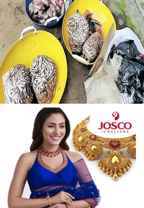 അടൂരിലെ ഹോട്ടലില് നിന്ന് 50 കിലോ പഴകിയ മത്സ്യം പിടികൂടി;പരിശോധന നടത്തിയ 16ൽ 10 സ്ഥാപനങ്ങളില് നിന്നും പഴകിയ ഭക്ഷണങ്ങൾ പിടിച്ചെടുത്തു