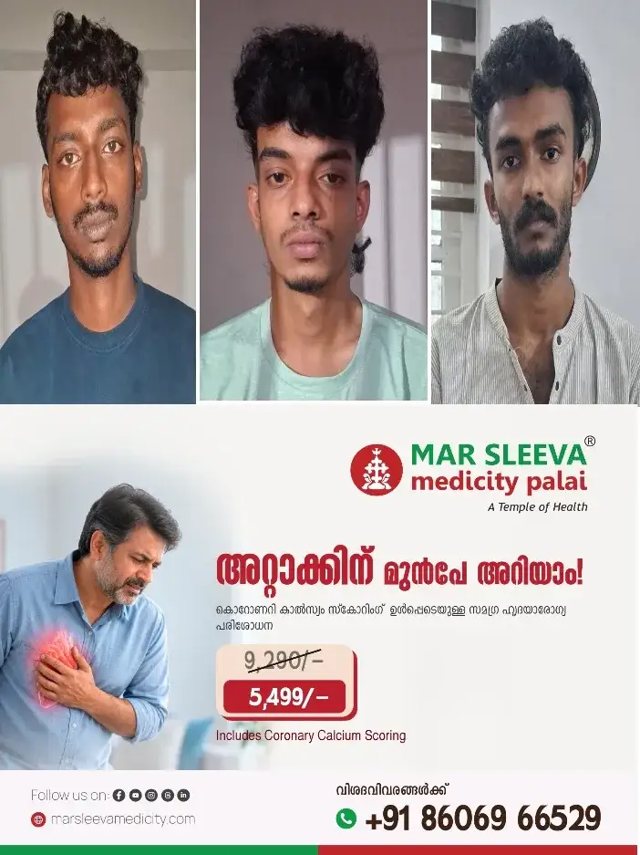 എരുമേലിയിൽ 1.880 കിലോ കഞ്ചാവുമായി മൂന്ന് യുവാക്കൾ പിടിയിൽ; പിടിയിലായത് മുണ്ടക്കയം സ്വദേശികൾ: പ്രതികളിൽ നിന്ന്കഞ്ചാവ് കടത്താൻ ഉപയോഗിച്ച ഓട്ടോറിക്ഷയും മൊബൈൽ ഫോണുകളും പണവും പോലീസ് പിടിച്ചെടുത്തു
