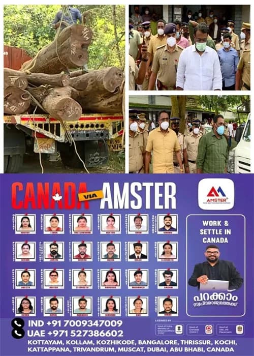 മുട്ടിൽ മരംമുറിയുമായി ബന്ധപ്പെട്ട വഞ്ചനാ കേസ്; സ്റ്റേയില്ല, കുരുക്ക് മുറുകുന്നു; അഗസ്റ്റിൻ സഹോദരങ്ങൾ കോടതിയിൽ ഹാജരാകണം