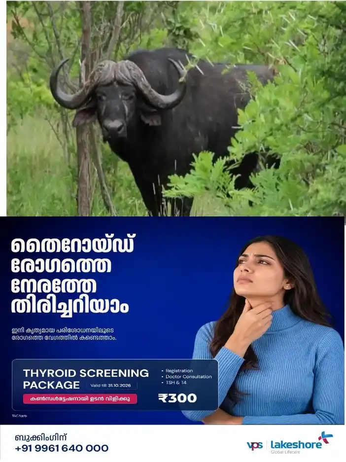 തിരുവനന്തപുരത്ത് കാട്ടുപോത്തിനെ വെടിവെച്ച് കൊന്ന് ഇറച്ചി കടത്തി; രണ്ടുപേര് അറസ്റ്റില്; വേവിച്ച കാട്ടുപോത്തിറച്ചി വനംവകുപ്പ് പിടിച്ചെടുത്തു