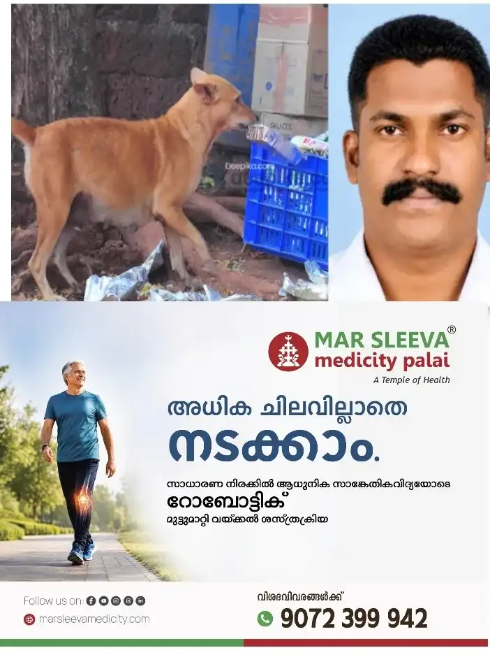 അരൂരിൽ തെരുവുനായകള്ക്ക് ഭക്ഷണം നല്കുന്നതിനിടെ ആംബുലന്സ് ഡ്രൈവര്ക്ക് കടിയേറ്റു