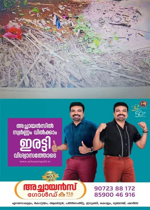 മാലിന്യത്തിൽ മുങ്ങി പന്നഗം തോട്;മാലിന്യങ്ങൾ അടിഞ്ഞുകൂടി ഒഴുക്ക് നിലച്ചു;നടപടിയെടുക്കാതെ അധികാരികൾ 